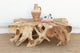 Sculptural Live Form Teak Root Coffee Table