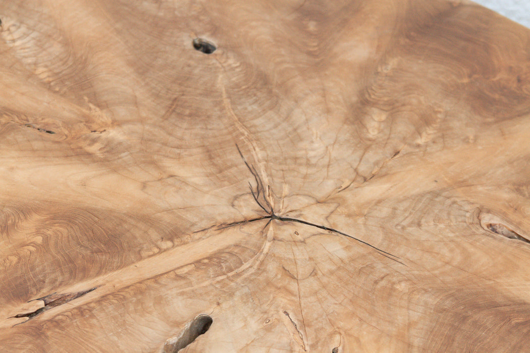 Sculptural Live Form Teak Root Coffee Table