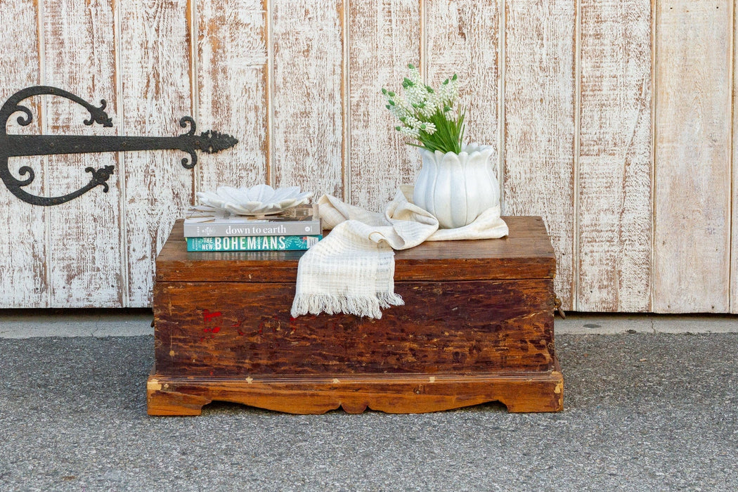 19th Century Indo-Portuguese Goa Painted Trunk
