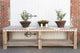 10ft Blossom Mother Pearl Inlay Display Table