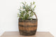 Vintage English Farmhouse Basket