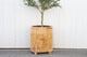 Modern Farmhouse Naga Planter