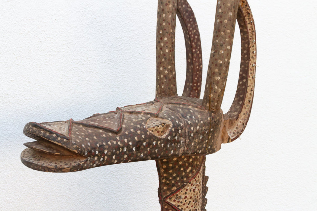 19th Century 83" Tall African Antelope Adone