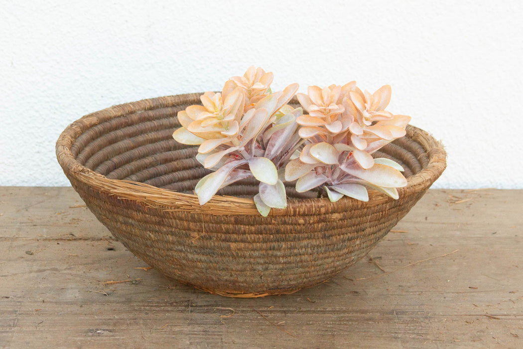 Vintage Coiled Harvest Bowl w/Mud Sealed Base