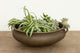Antique Traditional Kerala Handled Urli Vessel