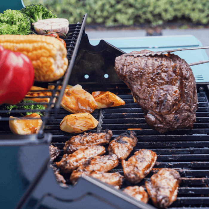 Mesa 200 | Matte Color Foldable Gas Grill