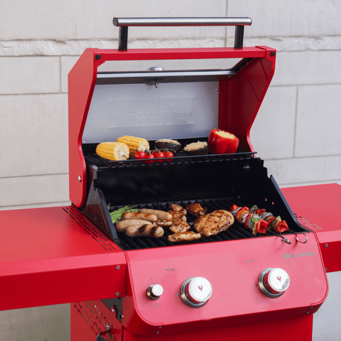 Mesa 200 | Matte Color Foldable Gas Grill