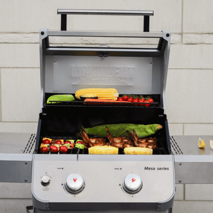 Mesa 200S | Foldable Stainless Gas Grill