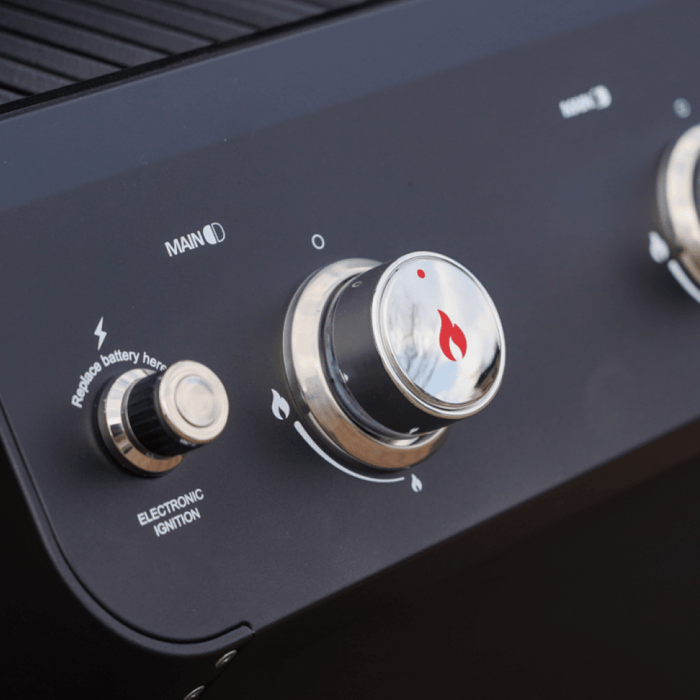 Mesa 220 | Black Foldable Propane Gas Grill