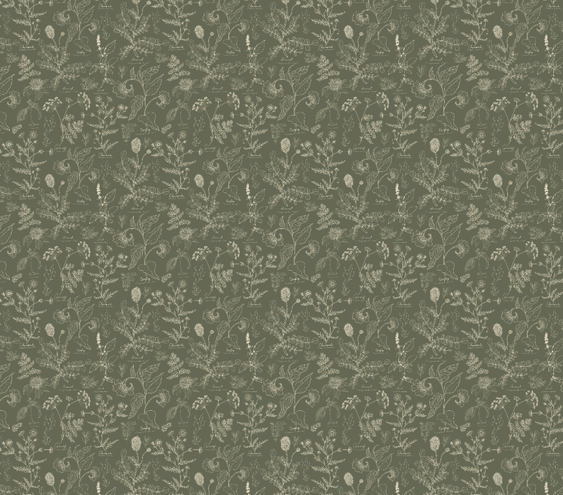 Caraway Wallpaper by Danelys Sidron