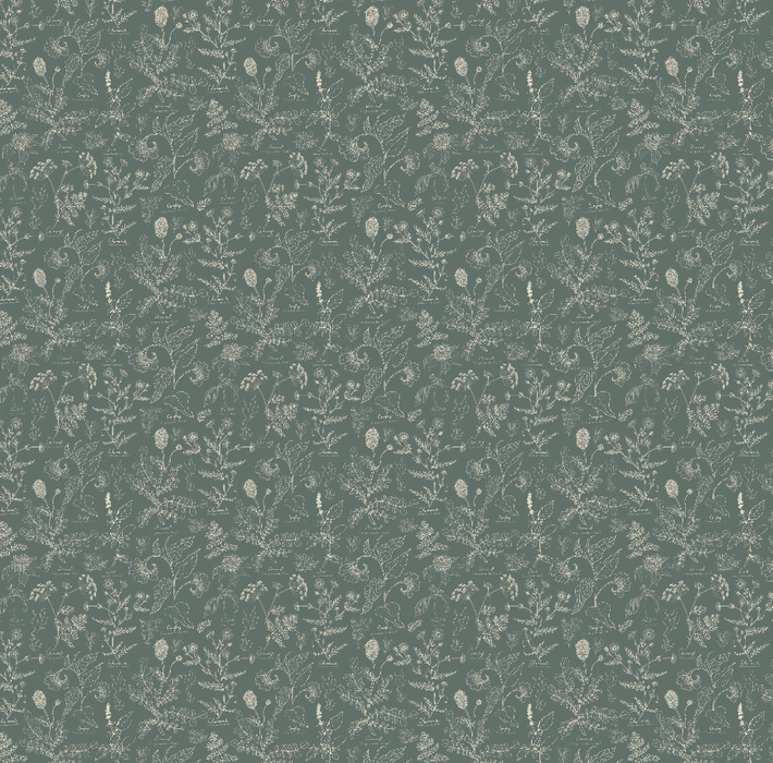 Caraway Wallpaper by Danelys Sidron