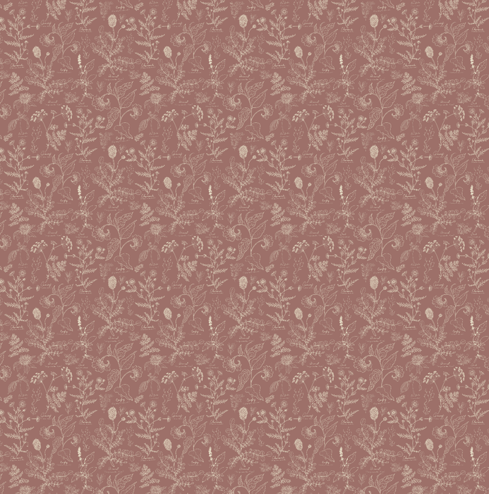 Caraway Wallpaper by Danelys Sidron