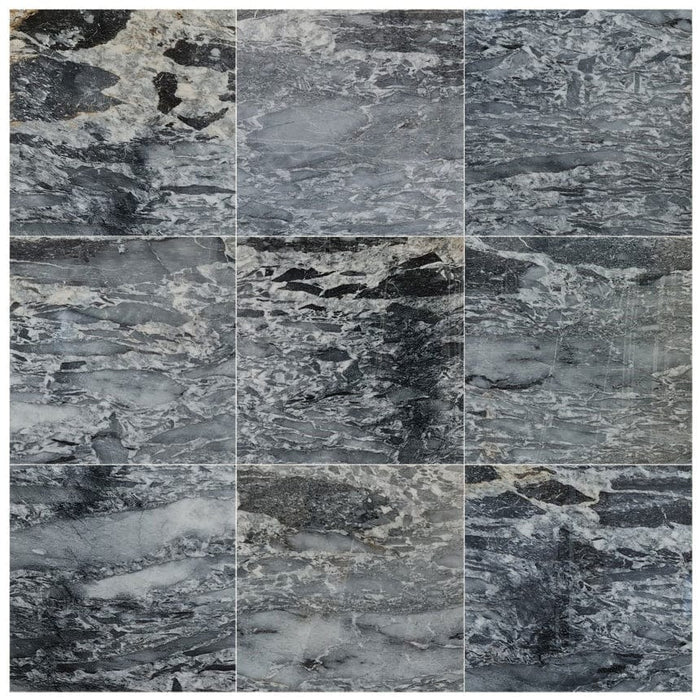 Black Leopard Exotic Marble Polished Floor and Wall Tile - Large Format - Livfloors Collection