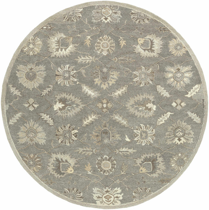 Dulles Area Rug