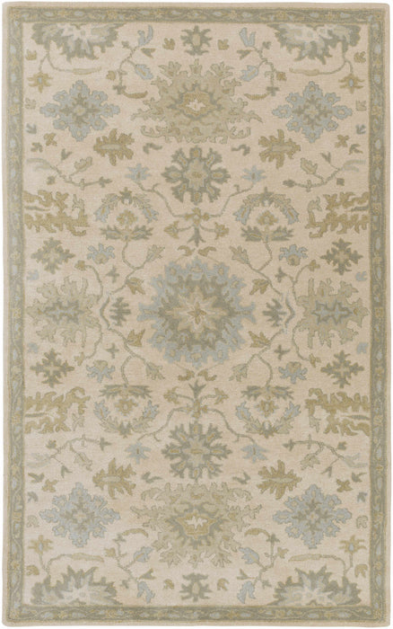 Hazen 1197 Hand Tufted Light Beige Wool Rug