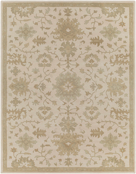 Hazen 1197 Hand Tufted Light Beige Wool Rug