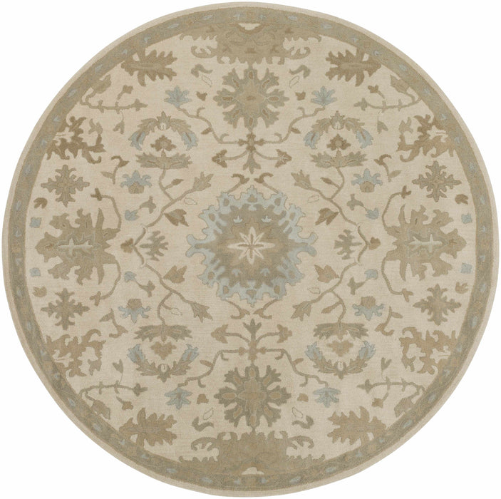 Hazen 1197 Hand Tufted Light Beige Wool Rug