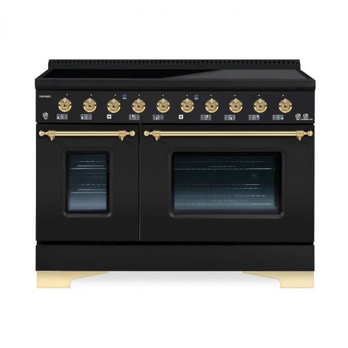 HALLMAN Classico 48" Induction Range, Matte Graphite, Brass Trim HCLIR48BSMG