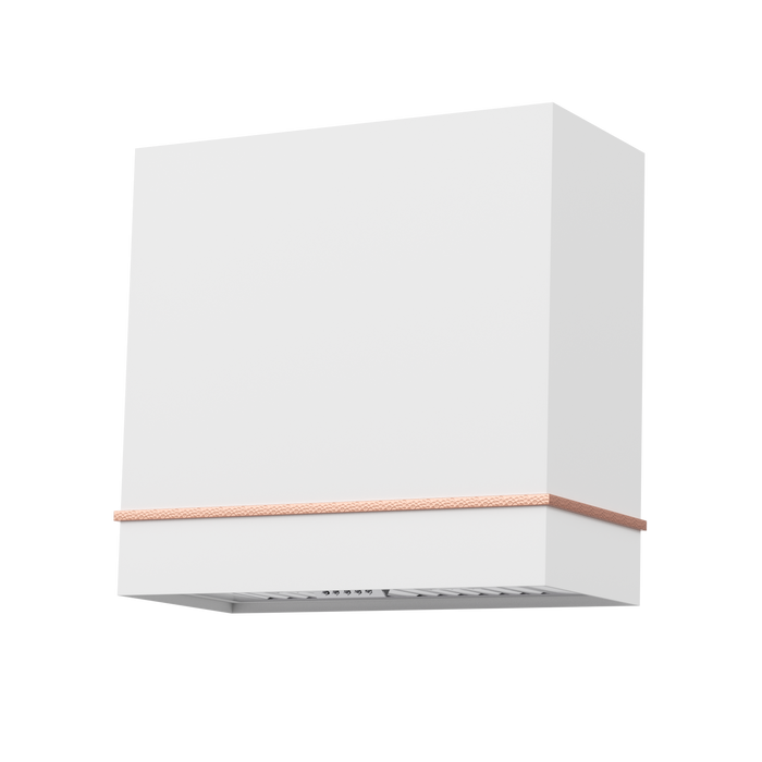 Akicon 30" Stainless Steel Wall Mount Range Hood with 600 CFM Vent Hood — AK-HS30HA-SWN-48