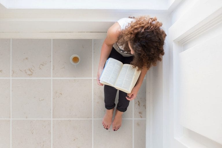 Mayra White Limestone Honed Floor and Wall Tile-Large Format - Livfloors Collection