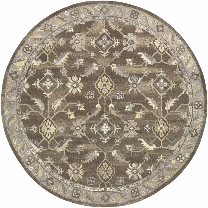 Solen Area Rug