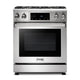 THOR 30 Inch Tilt Panel Gas Range TRG3001