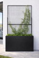Steel Edge Planter with Trellis
