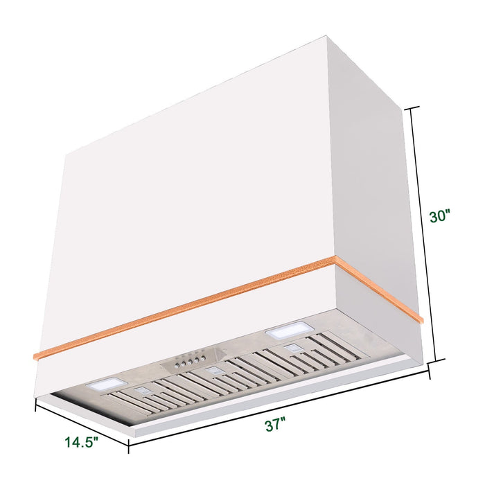 Akicon 36" Stainless Steel Wall Mount Range Hood with 600 CFM Vent Hood - AK-HS36HA-SW