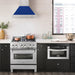 ZLINE 30" DuraSnow® Stainless Steel Range Hood with Color Shell Options 8654SNX - BG - 30 - Farmhouse Kitchen and Bath