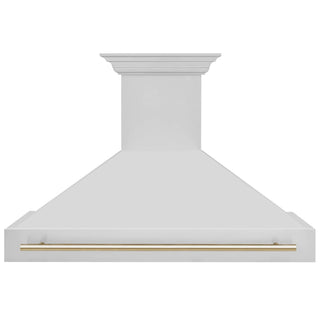 ZLINE 48" Autograph Stainless Wall Range Hood, 8654STZ-48-G