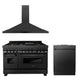 ZLINE 48" Bundled Stainless DualRange RangeHood Dishwasher 3KP-RABRH48-DW