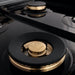 ZLINE 48" Porcelain Rangetop, DuraSnow®, 7 Brass Burners, RTS - BR - 48 - Farmhouse Kitchen and Bath