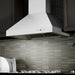 ZLINE 48" Remote Dual Blower Stainless Wall Range Hood, 697 - RD - 48 - Farmhouse Kitchen and Bath