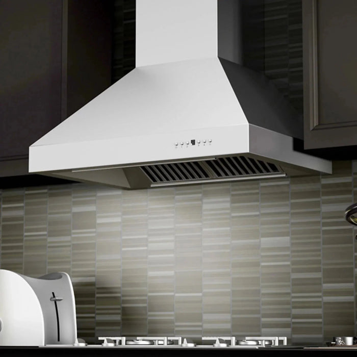 ZLINE Ducted Wall Mount Range Hood in Outdoor Approved Stainless Steel 697 - 304 - 48 - Farmhouse Kitchen and Bath