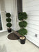 Two 56 Inch Artificial Boxwood Triple Ball Trees Potted - Farmhouse Kitchen and Bath