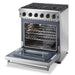 Thor 30" Professional Propane Range in Stainless Steel, LRG3001ULP - Farmhouse Kitchen and Bath