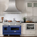 ZLINE 48" Gas on Gas Range in Stainless, Blue Matt Doors, RG-BM-48 - Farmhouse Kitchen and Bath