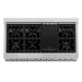 ZLINE 48" Gas Range, DuraSnow, Stainless Steel, Blue Gloss, RGS-BG-48 - Farmhouse Kitchen and Bath