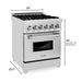 DISCONTINUED-ZLINE 24" Dual Fuel Range, Stainless Steel, Brass Burners, RA-BR-24 - Farmhouse Kitchen and Bath